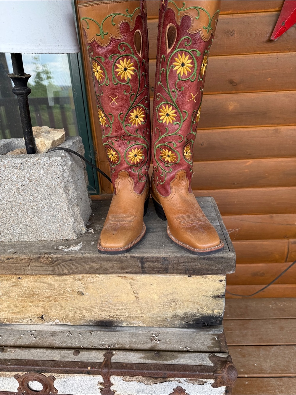 Twisted x buckaroo boots